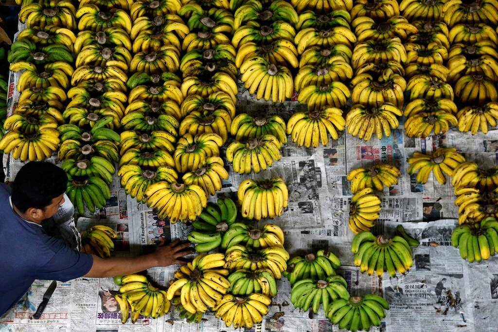 A vendor arranges bananas at a wet market in Klang, outside Kuala Lumpur, Malaysia October 27, 2017. REUTERS/Lai Seng Sin - RC1153100A50