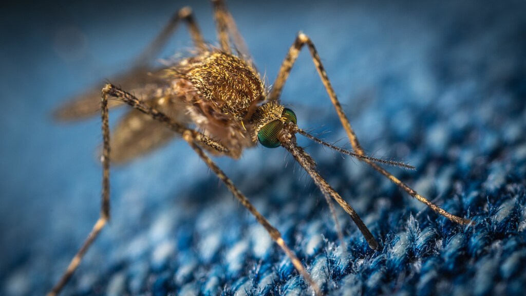 coronavirus fears epidemic pandemic disease infection contamination sanitation spread virus health care education schools global