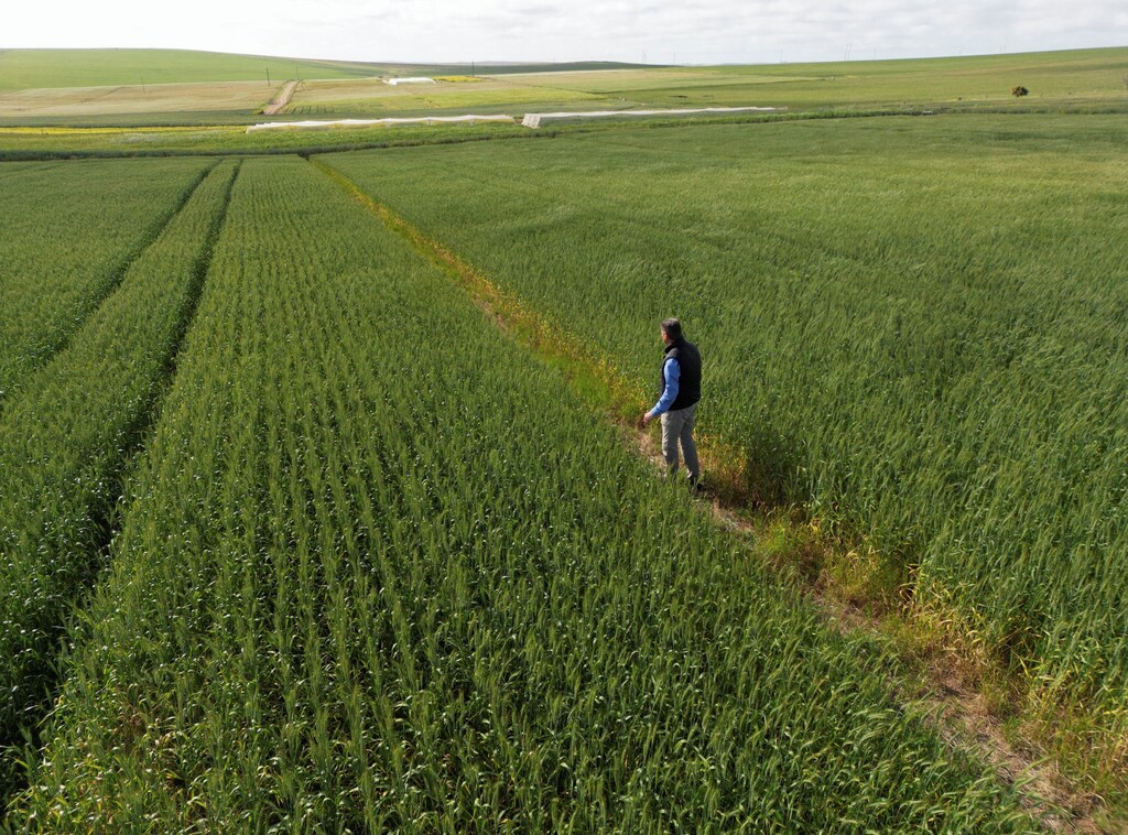 Farmers all over the world need custom insurance options to deal with a changing climate.