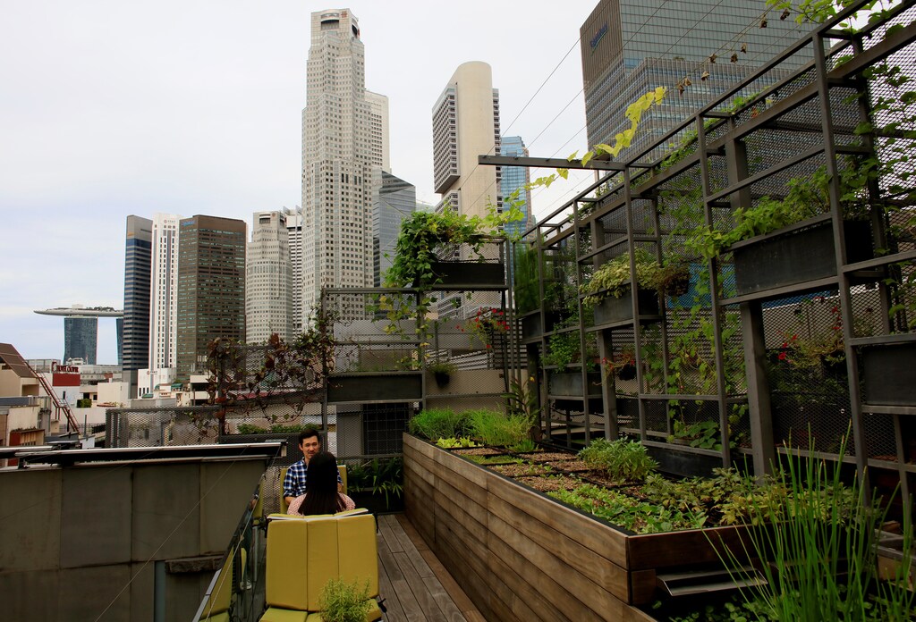 An urban farm is seen on the roof of WOHA Architects in Singapore June 2, 2017. REUTERS/Thomas White - RTX38OR6