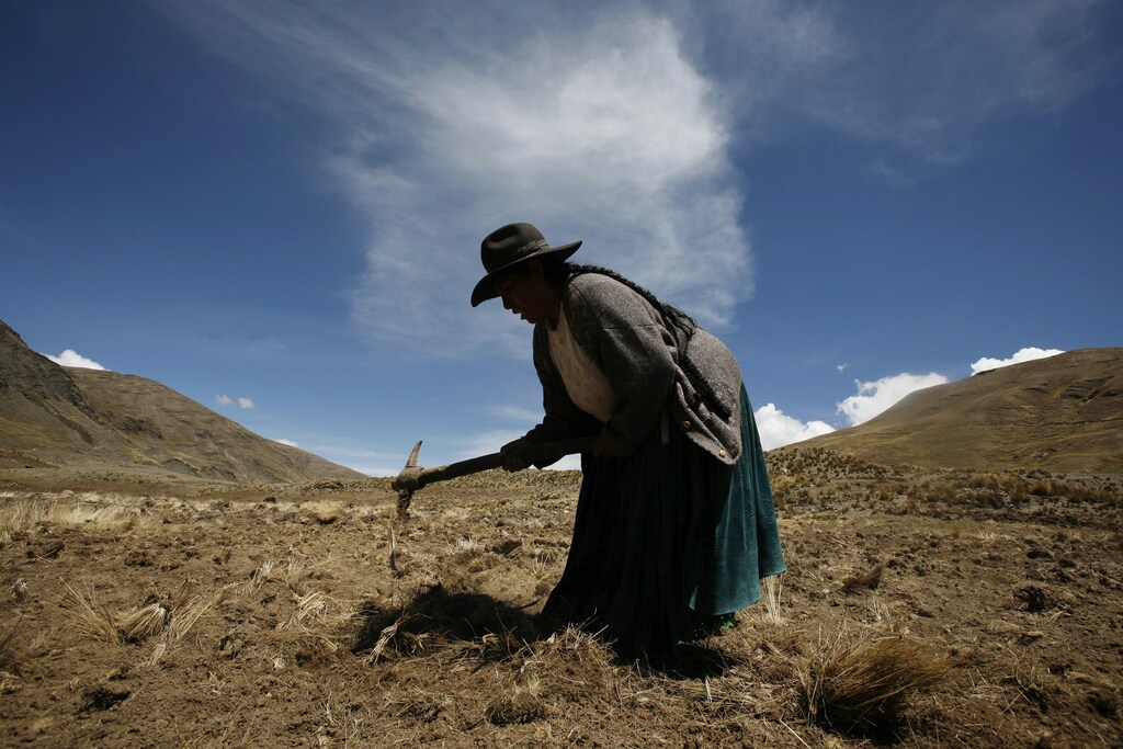 Farmer Juana Mamani prepares her land before planting potatoes in Chojnapata, in Bolivia's highland region, October 18, 2013. Due to lack of roads in some mountainous regions of the highlands, farmers still use rustic means for their crops. Picture taken October 18, 2013. REUTERS/David Mercado (BOLIVIA - Tags: AGRICULTURE SOCIETY TRAVEL) - RTX14GX7