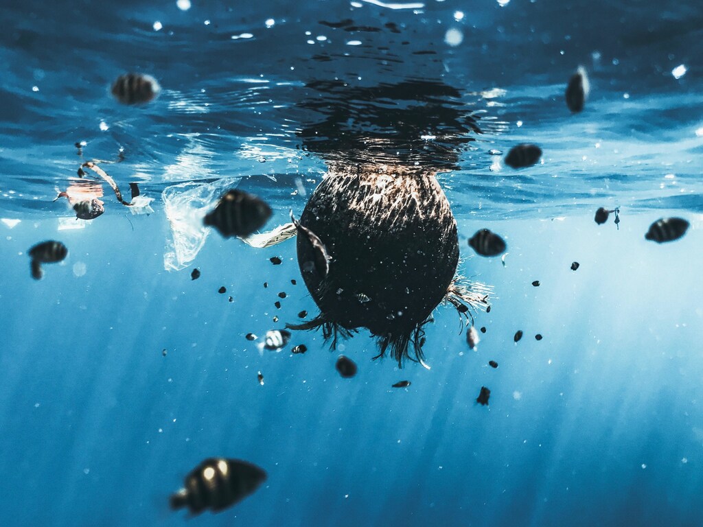 An estimated half of ocean plastic pollution comes from some 4.5 million fishing vessels operating in national and international waters.