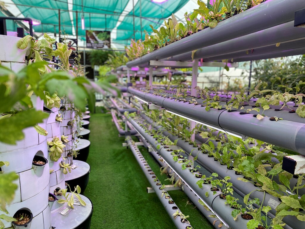 General view of a high tech vertical farm where local farmers have a chance to cultivate their crops