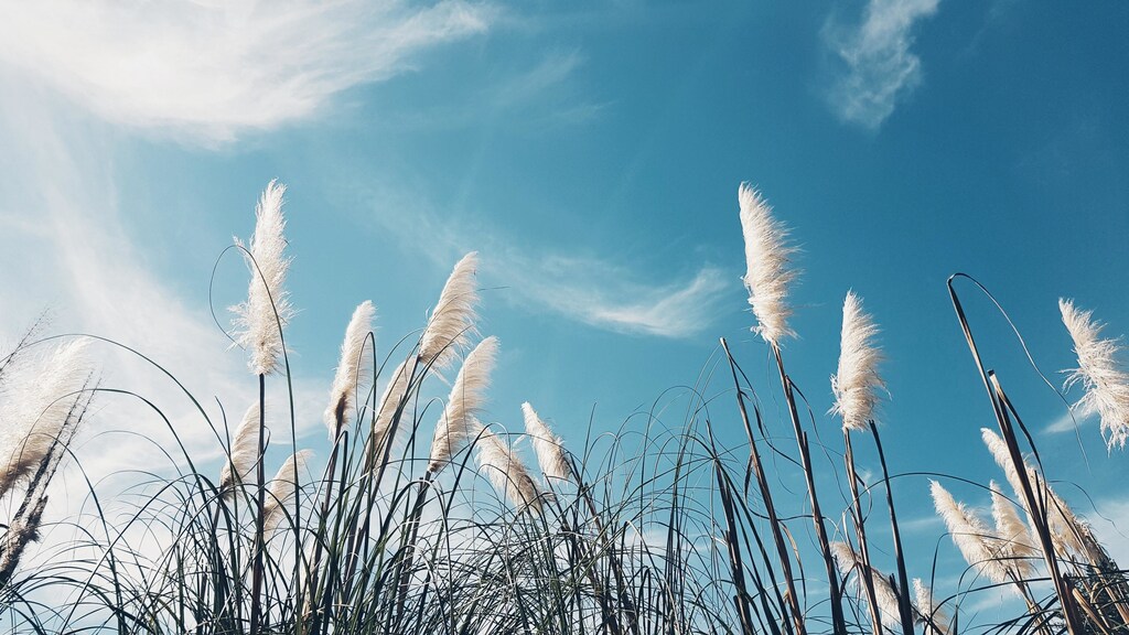 The private sector should develop its own adaptations plans to combat issues such as climate change