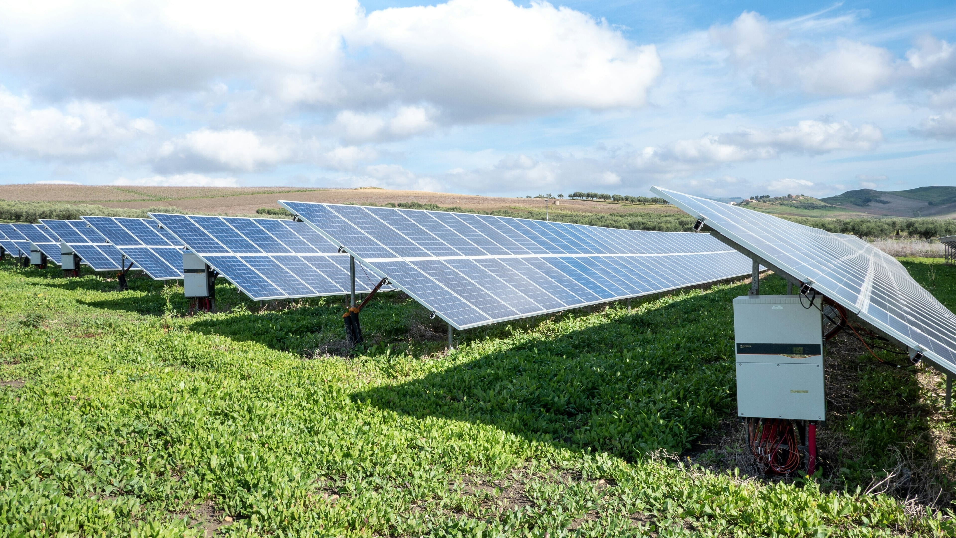 Paneles solares sobre hierba verde bajo un cielo azul.