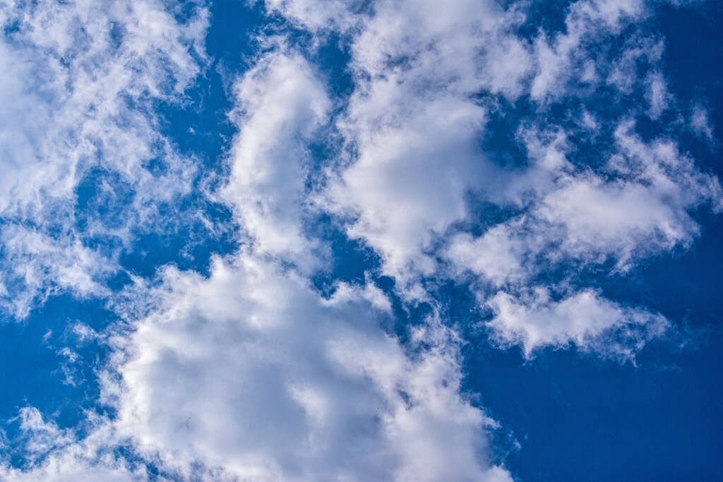 The benefits of clean air extend well beyond the environment; it is also key to human health.