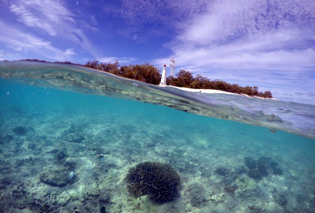 A piece of coral can be seen in the reef flats in front of the lighthouse on Lady Elliot Island and 80 kilometers north-east from the town of Bundaberg in Queensland, Australia, June 9, 2015. UNESCO World Heritage delegates recently snorkeled on Australia's Great Barrier Reef, thousands of coral reefs, which stretch over 2,000 km off the northeast coast. Surrounded by manta rays, dolphins and reef sharks, their mission was to check the health of the world's largest living ecosystem, which brings in billions of dollars a year in tourism. Some coral has been badly damaged and animal species, including dugong and large green turtles, are threatened. UNESCO will say on Wednesday whether it will place the reef on a list of endangered World Heritage sites, a move the Australian government wants to avoid at all costs, having lobbied hard overseas. Earlier this year, UNESCO said the reef's outlook was "poor". Picture taken June 9, 2015. REUTERS/David Gray - GF10000144602