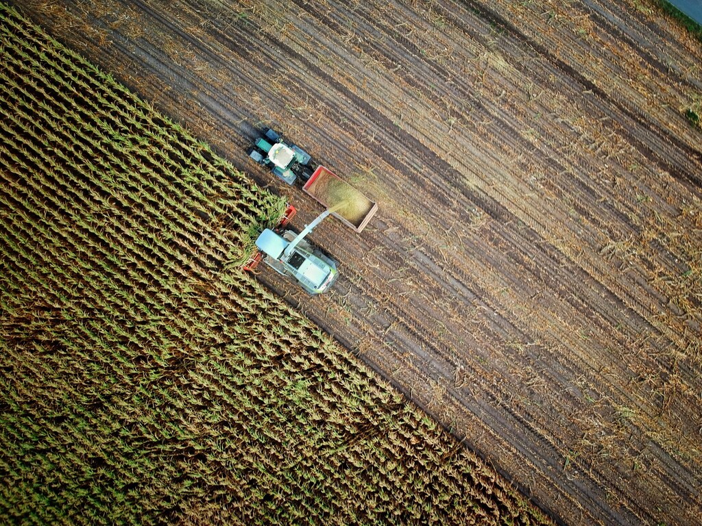 Global food and agriculture sectors account for more than one-third of greenhouse gas emissions.