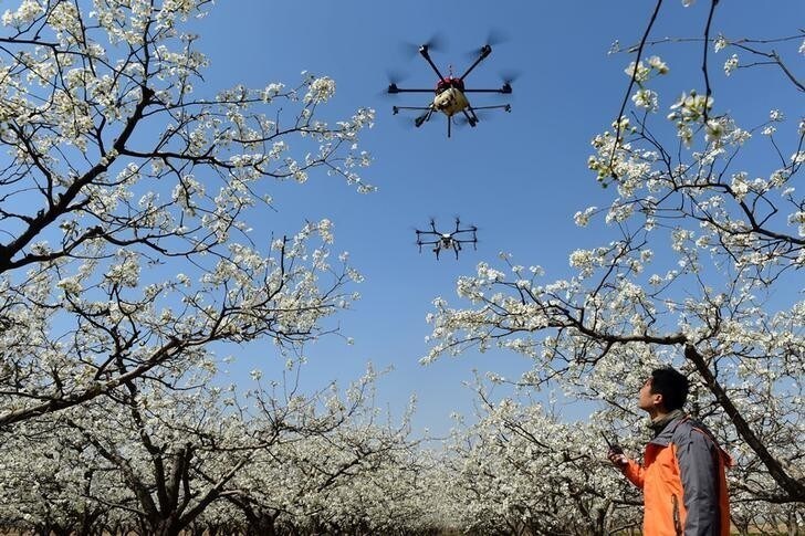 A worker looks on as drones are used to pollinate pear blossoms at a pear farm in Cangzhou, Hebei province, China April 9, 2018. REUTERS/Stringer ATTENTION EDITORS - THIS IMAGE WAS PROVIDED BY A THIRD PARTY. CHINA OUT. TPX IMAGES OF THE DAY