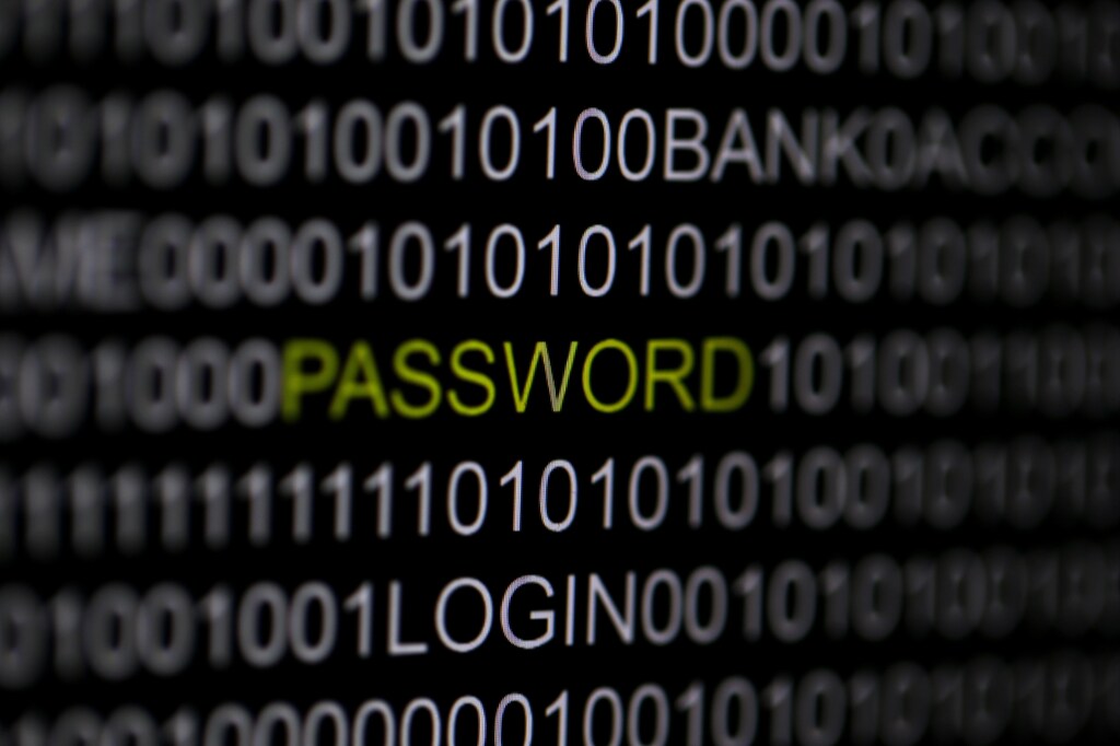 The word 'password' is pictured on a computer screen.