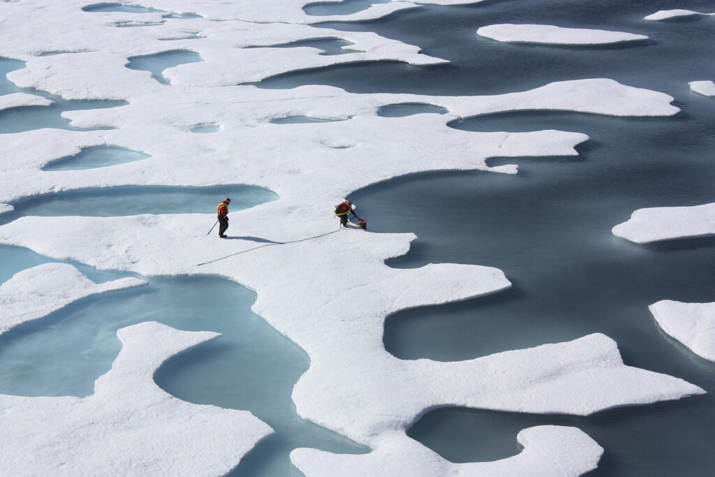 The crew of the U.S. Coast Guard Cutter Healy, in the midst of their ICESCAPE mission, retrieves supplies for some mid-mission fixes dropped by parachute from a C-130 in the Arctic Ocean in this July 12, 2011 NASA handout photo obtained by Reuters June 11, 2011. Scientists punched through the sea ice to find waters richer in phytoplankton than any other region on earth. Phytoplankton, the base component of the marine food chain, were thought to grow in the Arctic Ocean only after sea ice had retreated for the summer. Scientists now think that the thinning Arctic ice is allowing sunlight to reach the waters under the sea ice, catalyzing the plant blooms where they had never been observed. REUTERS/Kathryn Hansen/NASA (UNITED STATES - Tags: ENVIRONMENT SCIENCE TECHNOLOGY) THIS IMAGE HAS BEEN SUPPLIED BY A THIRD PARTY. IT IS DISTRIBUTED, EXACTLY AS RECEIVED BY REUTERS, AS A SERVICE TO CLIENTS. FOR EDITORIAL USE ONLY. NOT FOR SALE FOR MARKETING OR ADVERTISING CAMPAIGNS - TM3E86B0WCN01