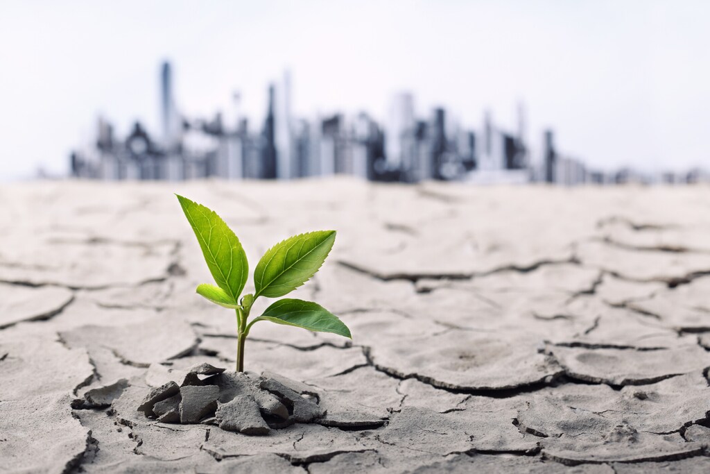 Little plant in dried cracked mud against a background of city skyline in a blog about sustainability in MENA