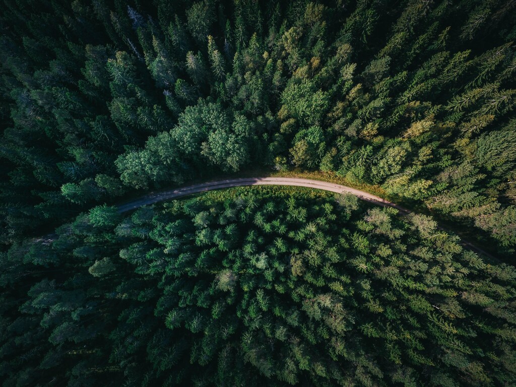 forest transition Deforestation