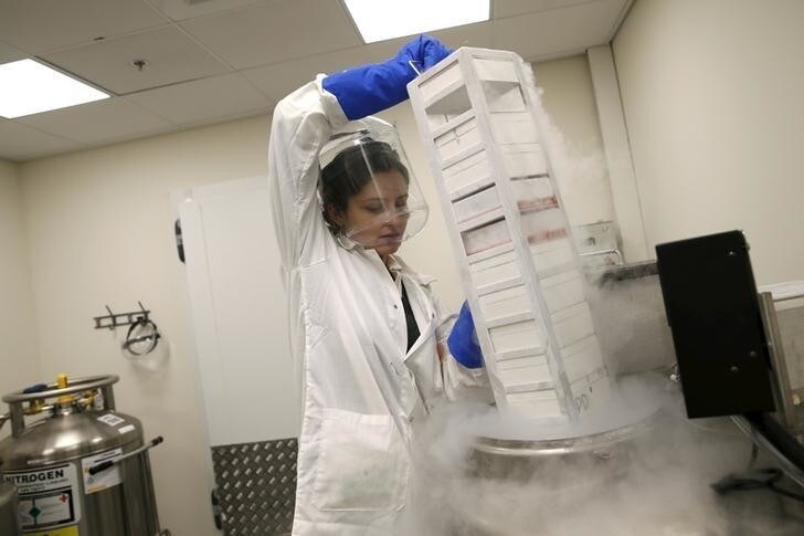 A laboratory worker removes cells from a storage unit at Pluristem Theraputics in Haifa, Israel March 6, 2016. Israeli biotech firm Pluristem Therapeutics said they have developed a placenta-based cell therapy injection that can fully cure patients with multiple organ failure caused by high radiation exposure. Picture taken March 6, 2016. REUTERS/Baz Ratner