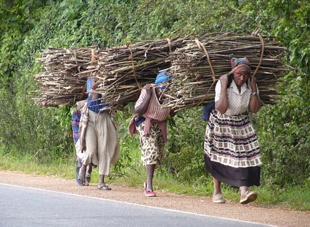Women are primary producers of biofuel worldwide.