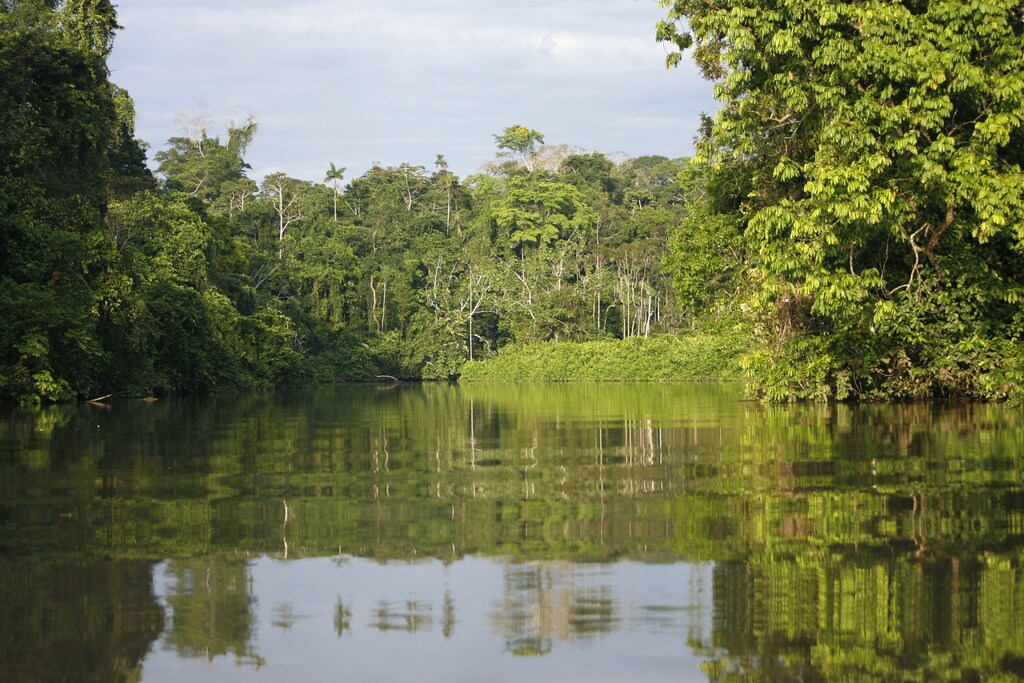 A view of the Kapawi river, in the Ecuadorean rainforest of Kapawi, some 165 miles (266 kilometers) southwest of Quito October 20, 2008. Kapawi is known for its eco-tourism and it is also home to the Ashuar Indians, the last indigenous group still residing the Ecuadorian rainforest, according to internet sources. REUTERS/Guillermo Granja (ECUADOR) - GM1E4AL0N2Y01