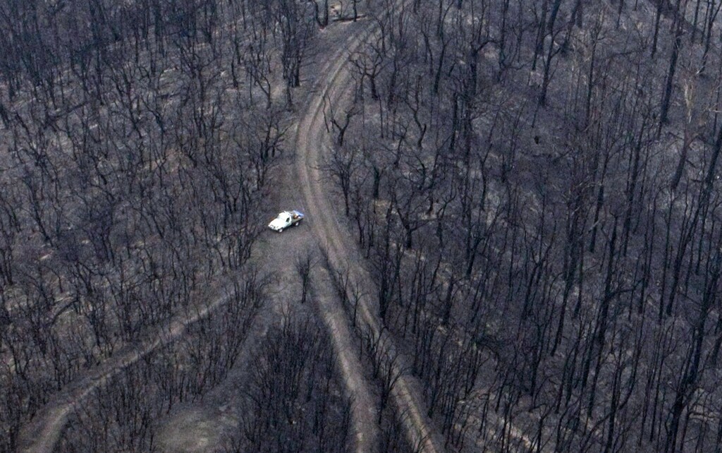 A vehicle is seen near the remains of a forest destroyed by bushfire.