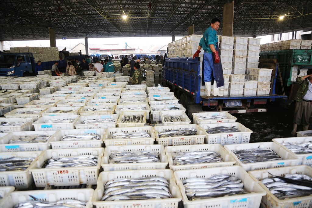 People work at a seafood market after a four-month fishing-off season in Rizhao, Shandong province, China September 6, 2017. REUTERS/Stringer ATTENTION EDITORS - THIS IMAGE WAS PROVIDED BY A THIRD PARTY. CHINA OUT. NO COMMERCIAL OR EDITORIAL SALES IN CHINA. - RC1F20D6C8B0