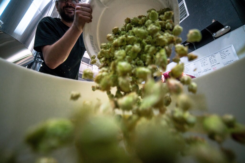 New solutions are being developed to tackle the food waste challenge.