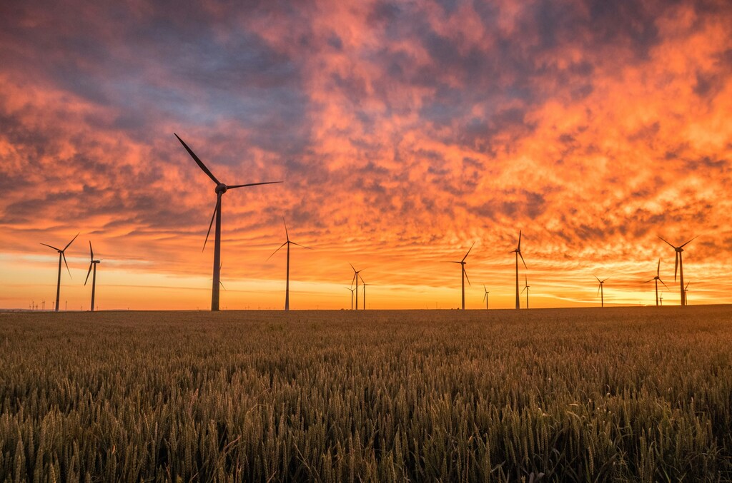 A wind farm, part of the renewable energy transition