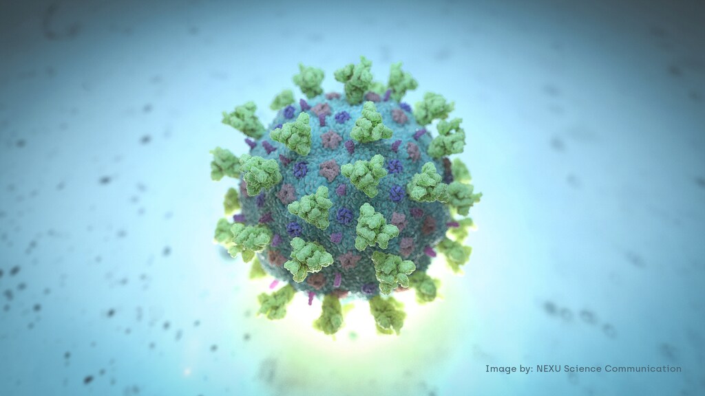 A computer image created by Nexu Science Communication together with Trinity College in Dublin, shows a model structurally representative of a betacoronavirus which is the type of virus linked to COVID-19, better known as the coronavirus linked to the Wuhan outbreak, shared with Reuters on February 18, 2020. NEXU Science Communication/via REUTERS THIS IMAGE HAS BEEN SUPPLIED BY A THIRD PARTY. MANDATORY CREDIT. - RC243F9W97D9