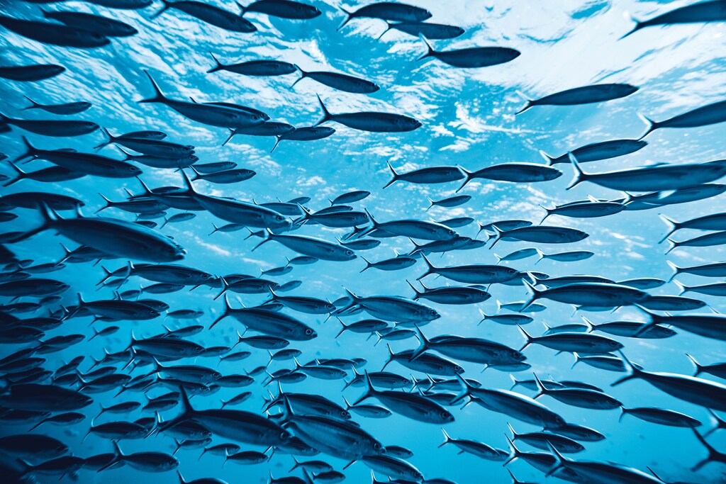 Blended finance can boost climate and nature initiatives
