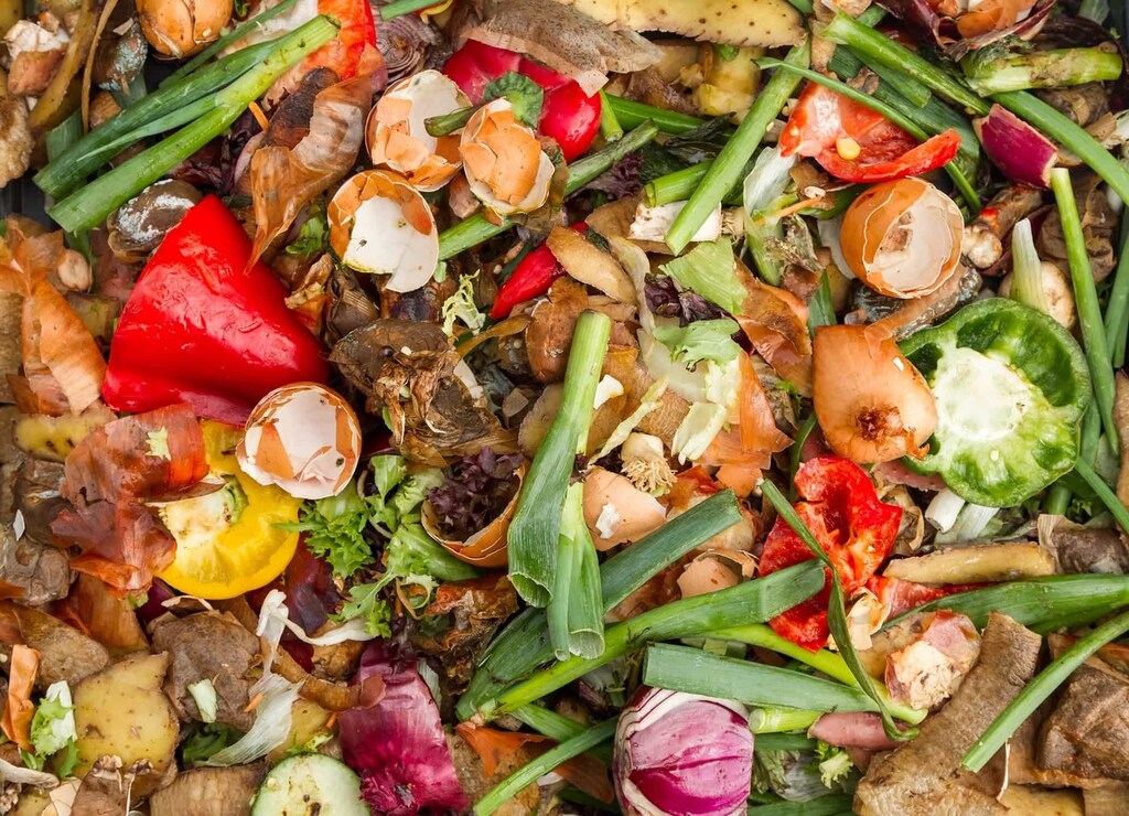 Food waste is the number one material in US landfills, accounting for 24% of all municipal solid waste.