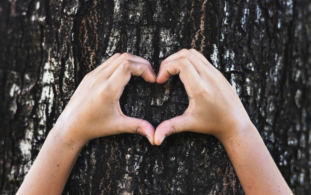 A child's hands making a heart sign on a tree.