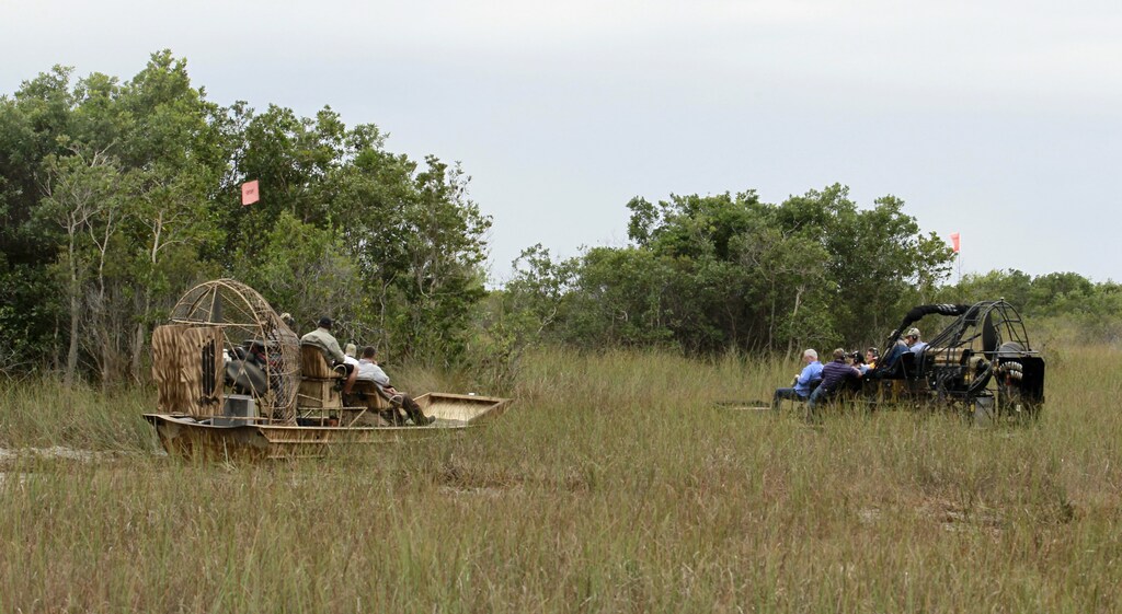 Airboats approach a hammock as U.S. Senator Bill Nelson (D-FL) takes part in a hunt in search of Burmese pythons during a state-sponsored snake hunt, in the Everglades, Florida January 17, 2013. Python Challenge 2013 is a month-long event sponsored by the Florida Fish and Wildlife Conservation Commission offering prizes of $1,500 for the most pythons captured and $1,000 for the longest python.