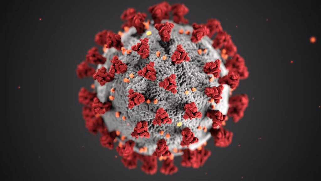 Visualization of a virus