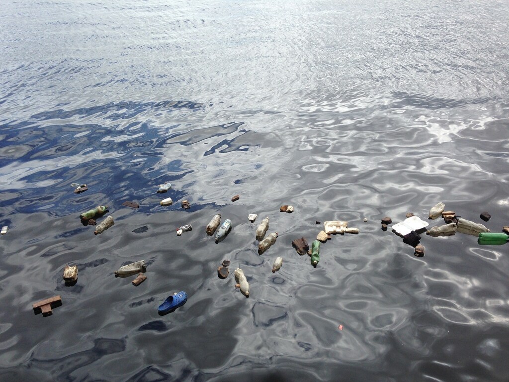 Image of plastic floating in the ocean