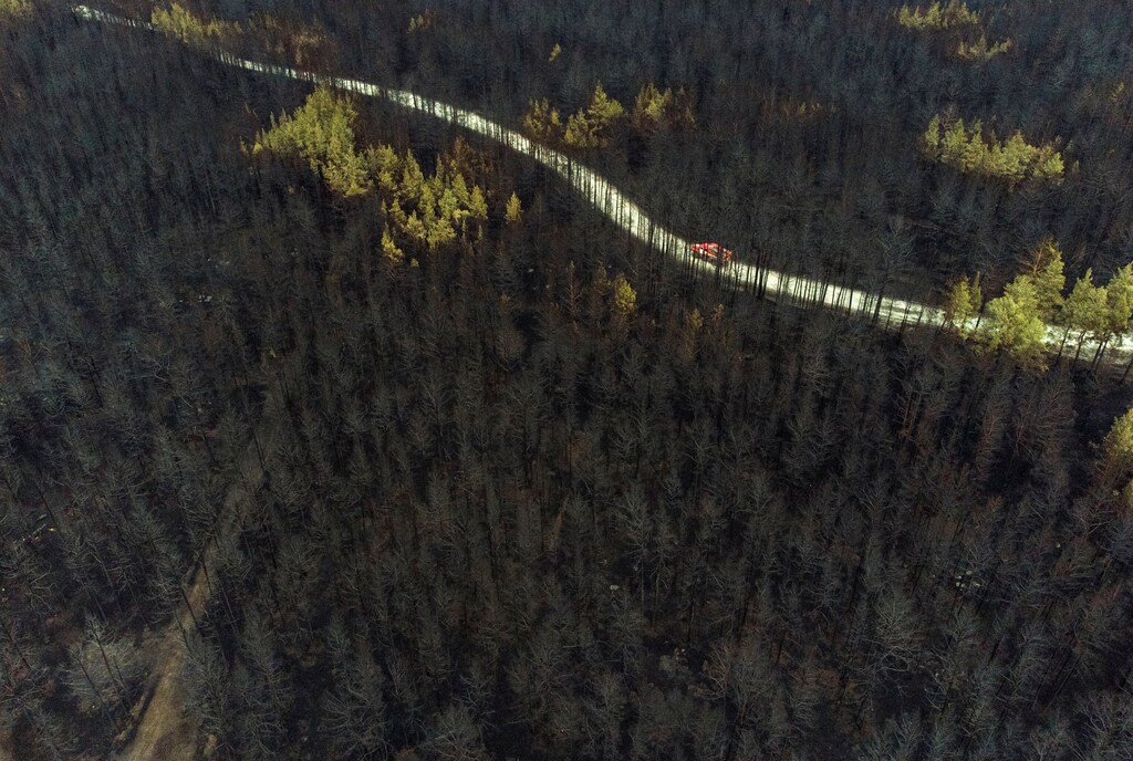 a fire truck drives across a forest burnt by wildfire towards to the sattelment of Zapasnoye in Chelyabinsk Region, Russia