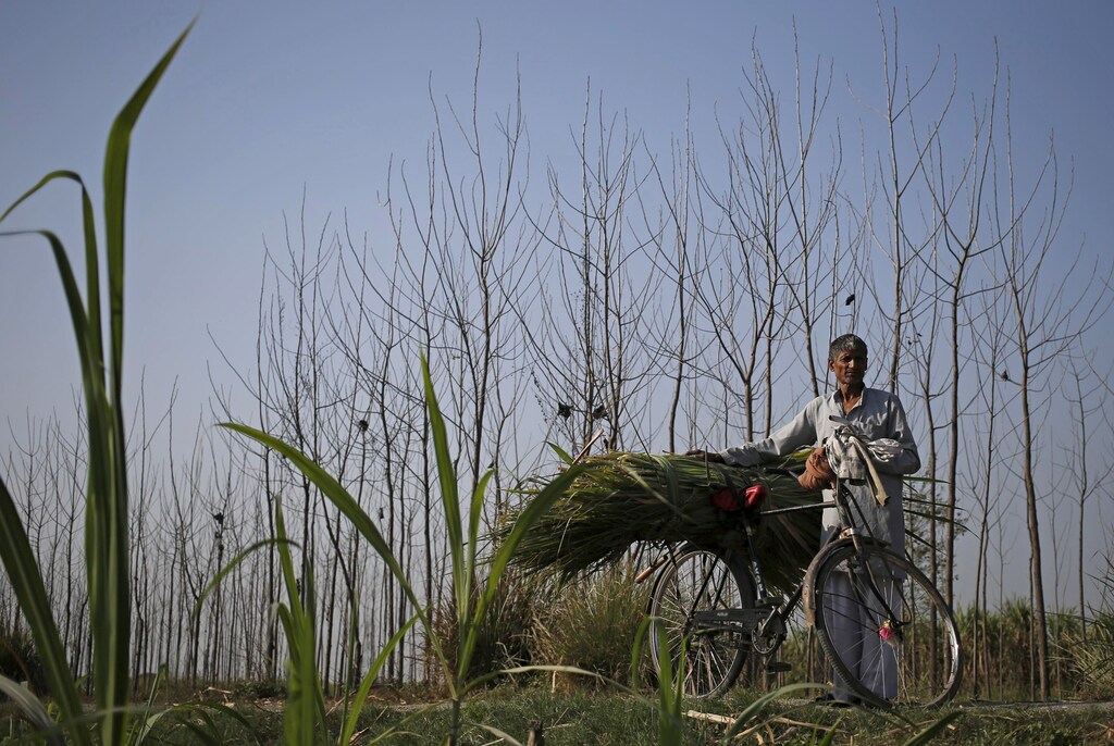 Agritech solutions help attract investment in India's most populous state