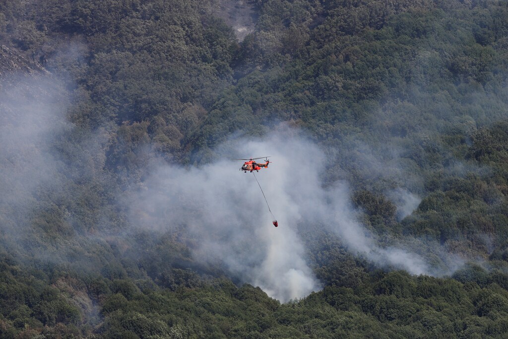 heatwave wildfires Europe environment stories news