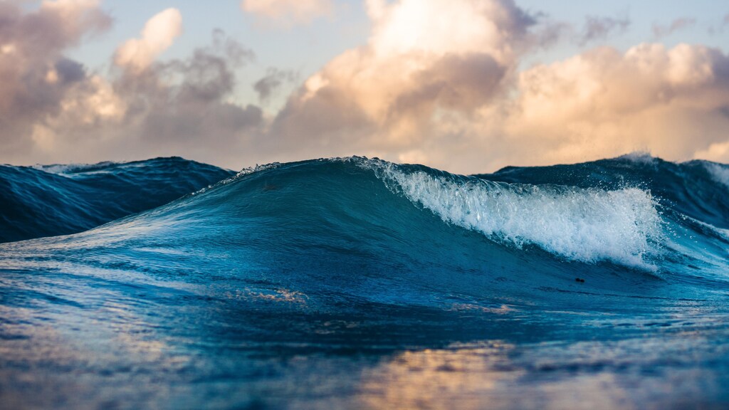 climate change ocean levels sustainability nature global warming health food security shipping economy codependency medicine seas