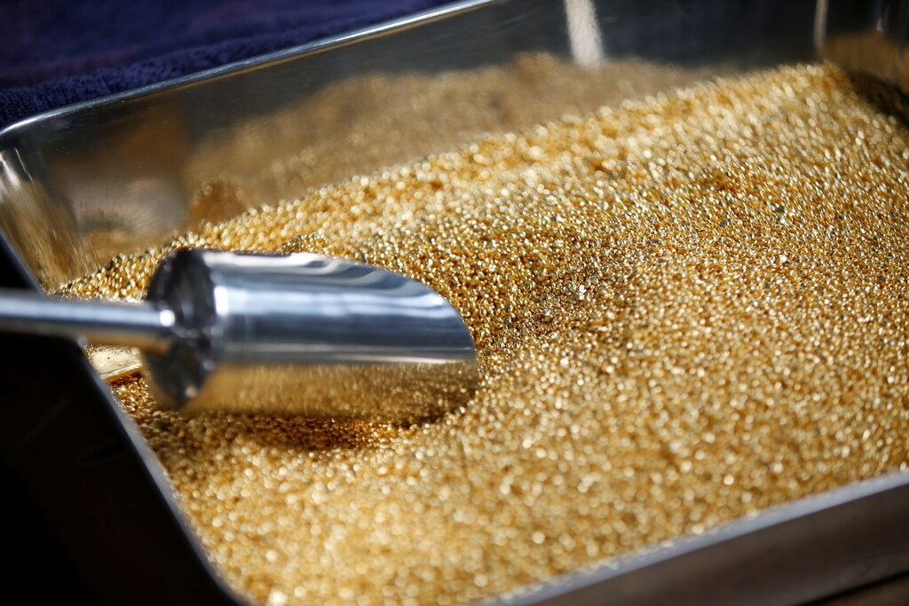 Gold grain is seen before being melted into 1kg gold bars during a refining process at AGR (African Gold Refinery) in Entebbe, Uganda, October 4, 2018. Picture taken October 4, 2018. To match Insight AFRICA-GOLD/REFINERIES REUTERS/Baz Ratner - RC29GE9EA9HV