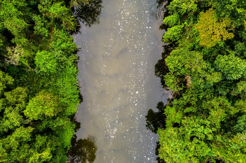 Pollution Water in Amazon River, Brazil; water resilience