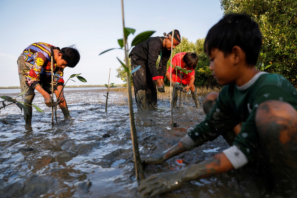 Samsudin, 50, plants mangrove trees with local children at Tiris beach in Pabeanilir village, Indramayu regency, West Java province, Indonesia.