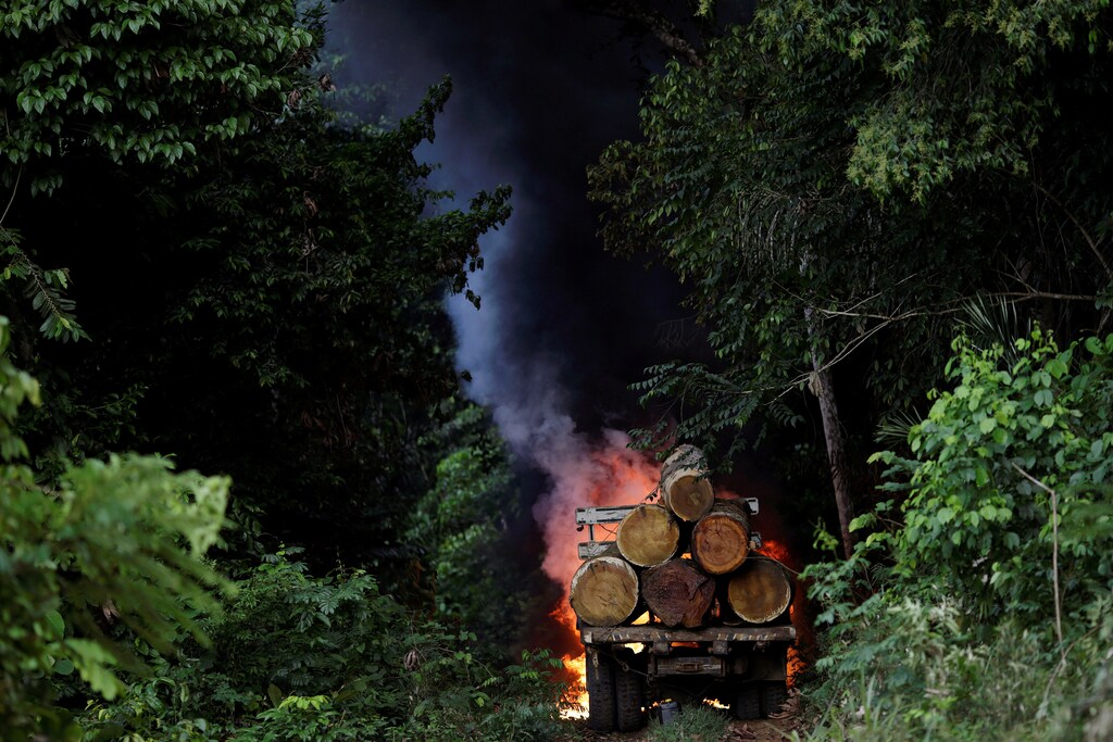 Trucks loaded with tree trunks are burned by agents of the Brazilian Institute for the Environment and Renewable Natural Resources, or Ibama, during an operation to combat illegal mining and logging, in the municipality of Novo Progresso, Para State, northern Brazil, November 11, 2016. REUTERS/Ueslei Marcelino SEARCH "AMAZON GUARDIANS" FOR THIS STORY. SEARCH "WIDER IMAGE" FOR ALL STORIES. - RTSTUB1
