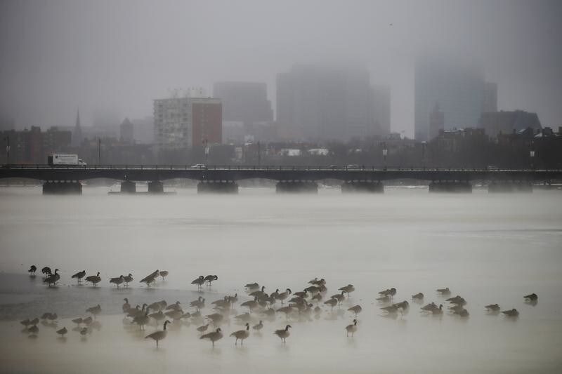 Birds gather on the partially frozen Charles River in front of the Boston skyline during winter in Cambridge, Massachusetts January 6, 2014. REUTERS/Brian Snyder (UNITED STATES - Tags: ENVIRONMENT ANIMALS CITYSCAPE TPX IMAGES OF THE DAY) - GM1EA1701SQ01