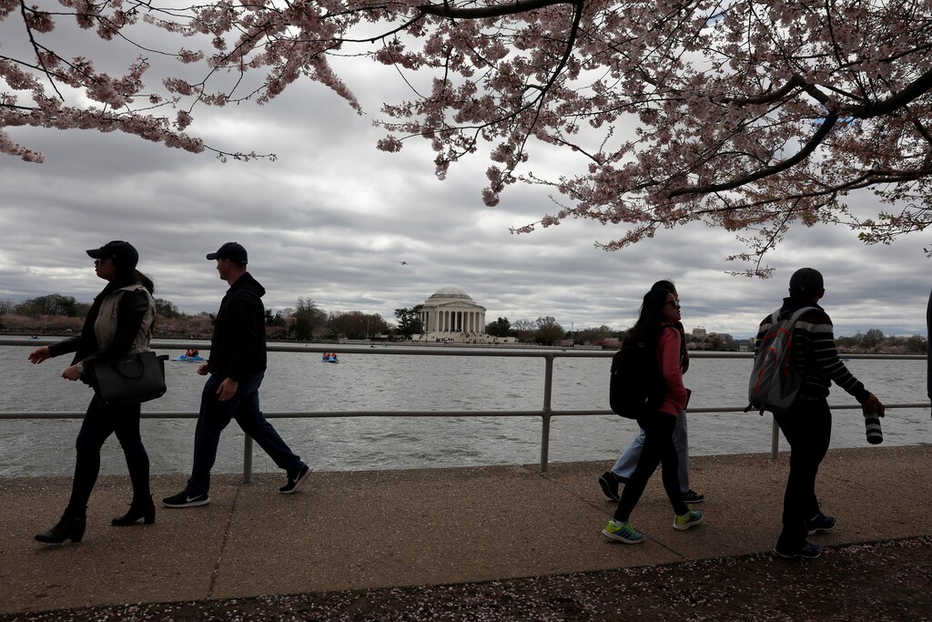 People walk under cherry blossoms near the Tidal Basin in Washington, D.C., U.S., April 1, 2017. REUTERS/Aaron P. Bernstein - RTX33O3B