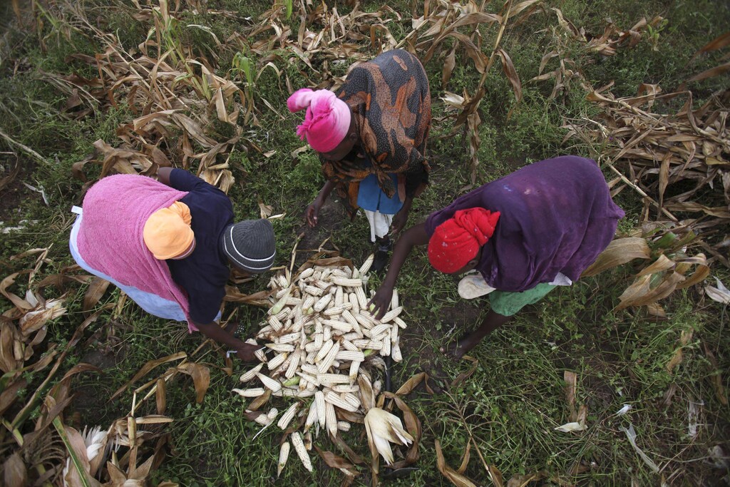Global nutrition report government business civil society action address food security malnutrition injustice health systems