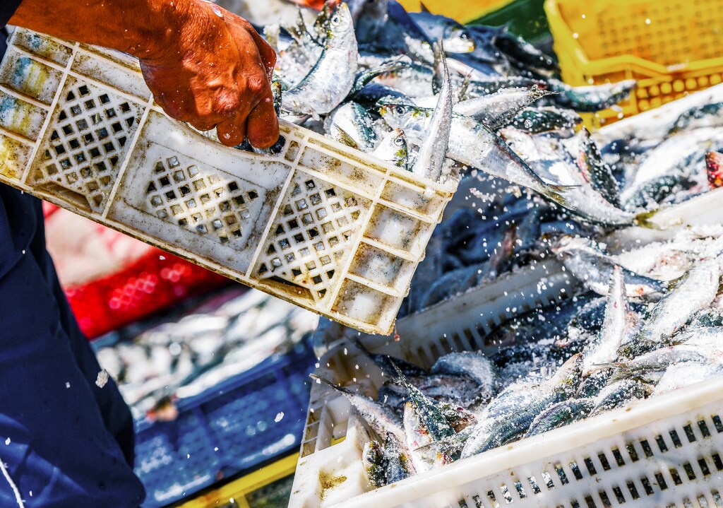 A key reason for the lack of progress in combating IUU fishing is the current underutilization of international instruments and mechanisms put in place to help prevent it.