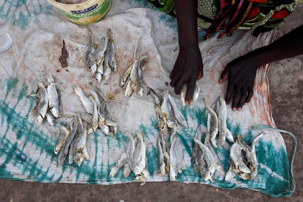 A woman puts dry fish on a cloth at a market in Serekunda, Gambia, December 3, 2016. REUTERS - RC1CF1FA1EB0