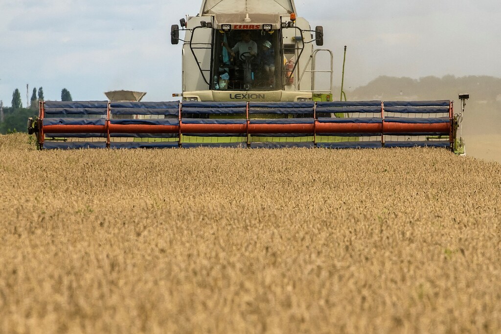 The outbreak of war in Ukraine in 2022 led to warnings of wheat shortages as, together, Russia and Ukraine export more than a quarter of the world's wheat.