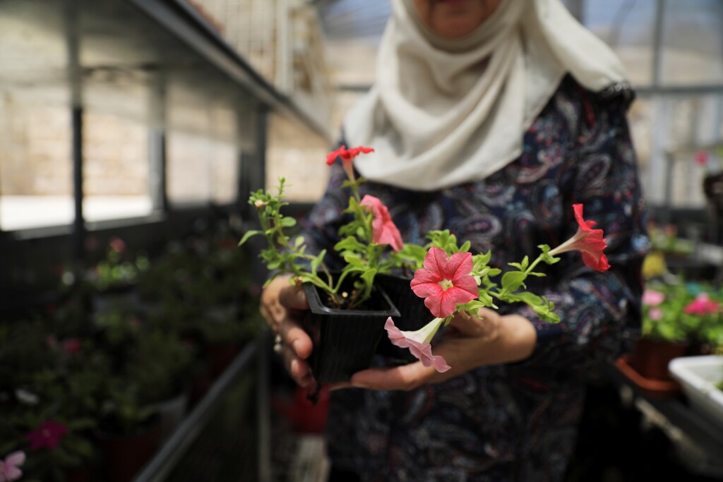 A group of Palestinian women in Jerusalem was trained in horticulture and business management as part of a business initiative aimed at helping them into the local workforce