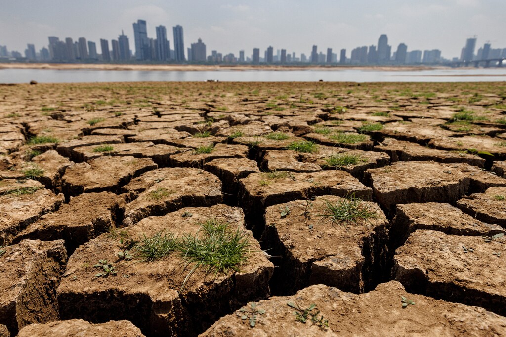 Foto de archivo: Grietas recorren el lecho parcialmente seco del río Gan, afluente del lago Poyang durante una sequía regional en Nanchang, provincia de Jiangxi, China, 28 de agosto de 2022.