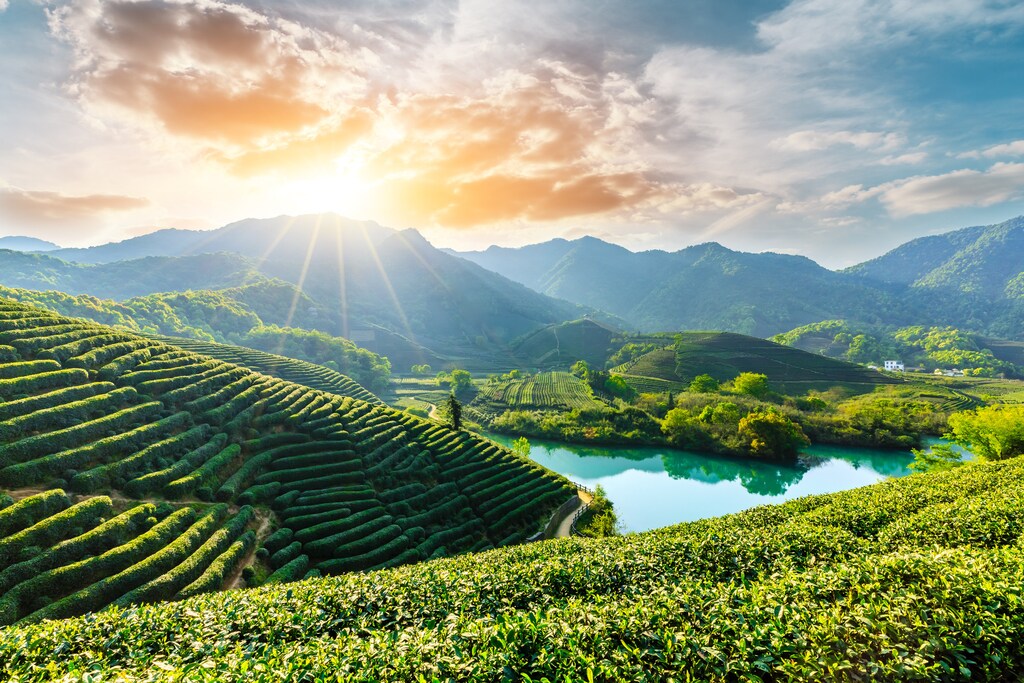 Sustainable food systems