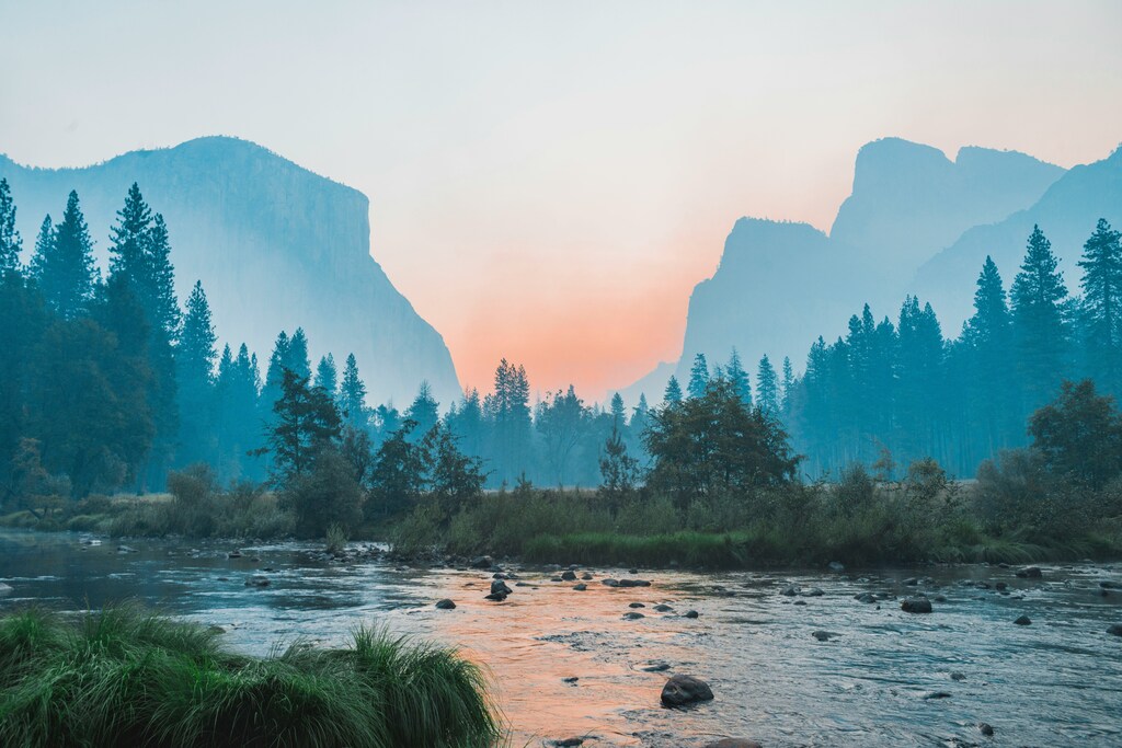 The Role of Corporate Philanthropy in Accelerating Climate and Nature Transitions.