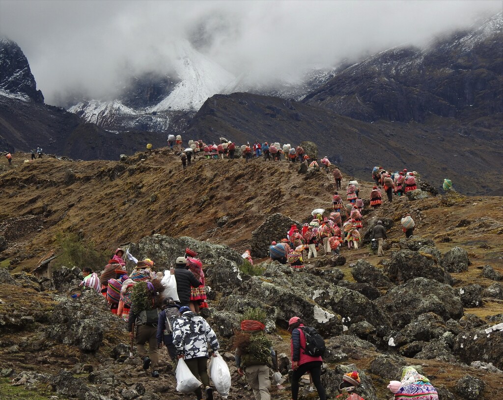 Indigenous Communities set upon the Andes for a forest restoration project: Multi-generational leadership is essential to ensuring the longevity and impact of forest restoration initiatives.